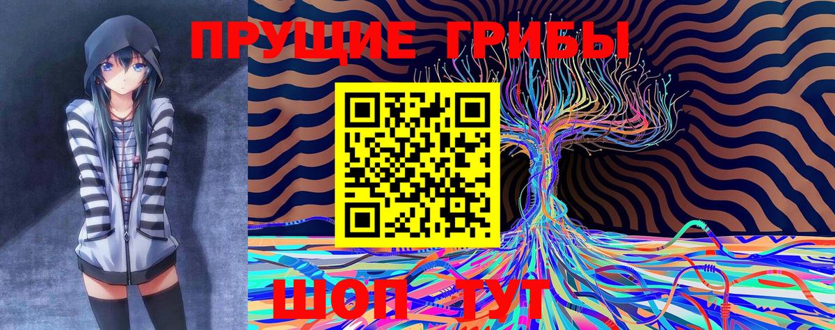 Галлюциногенные грибы Magic Shrooms Луховицы
