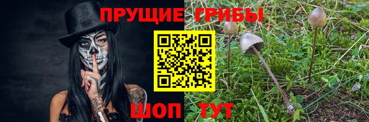 Галлюциногенные грибы Psilocybe  Вход с VPN  Луховицы 